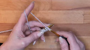 Wiederhole die Schritte 3-4, bis alle Maschen bis auf die Letzte angeschlagen sind.. Maschen Anschlagen