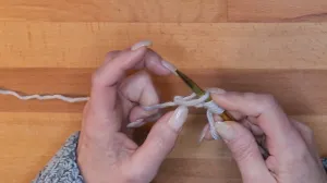 Ziehe die Schlaufe so fest, wie du eine Masche stricken würdest.. Maschen Anschlagen