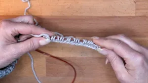 Wiederhole die Schritte 2-4, bis alle Maschen angeschlagen sind.. Maschen Anschlagen